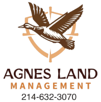 Agnes Land Management LLC